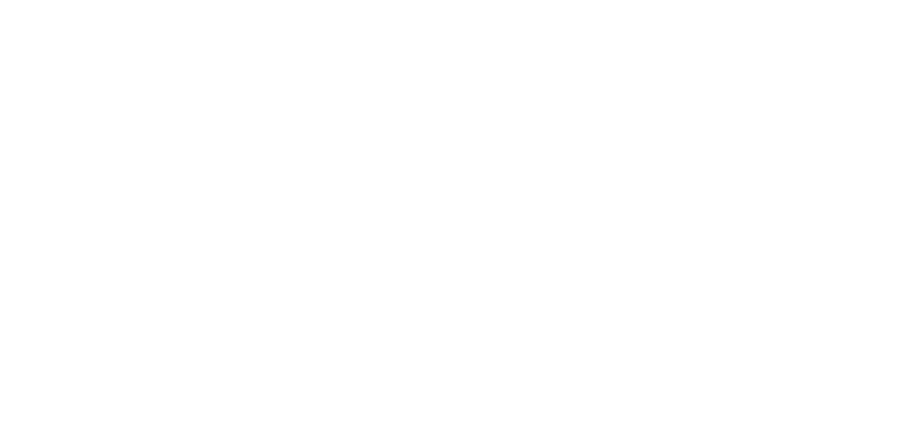 Escudo del IF